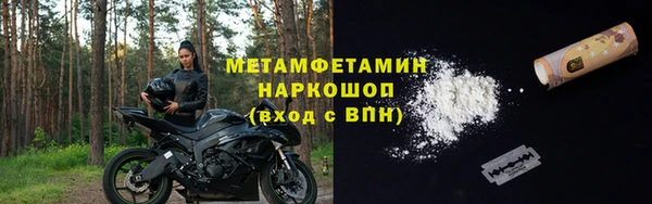 дурь Няндома