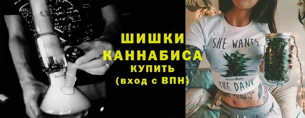 дурь Няндома