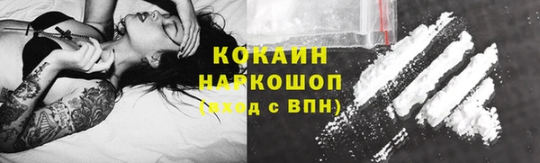дурь Няндома