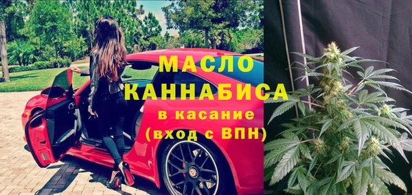 дурь Няндома