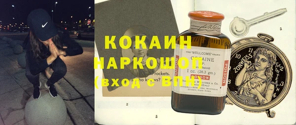 дурь Няндома